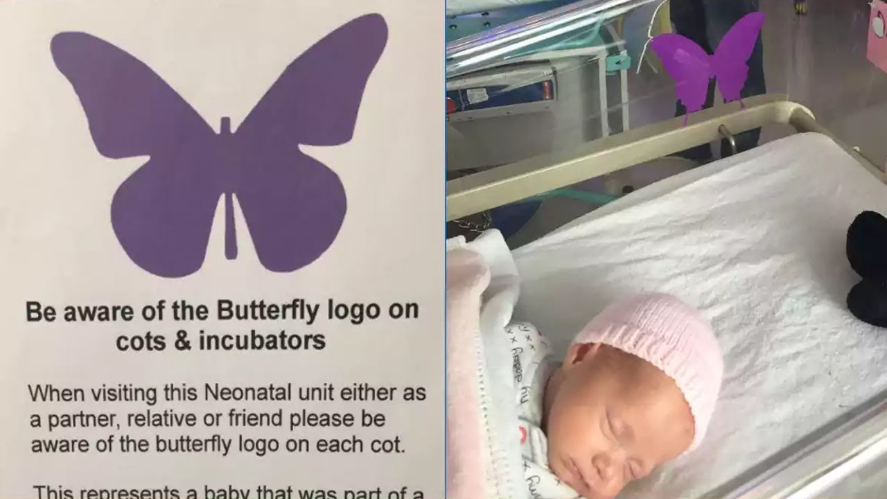See a 'Purple Butterfly' Sign on Baby's Crib? Don't Dare ... - 1280 x 720 jpeg 97kB