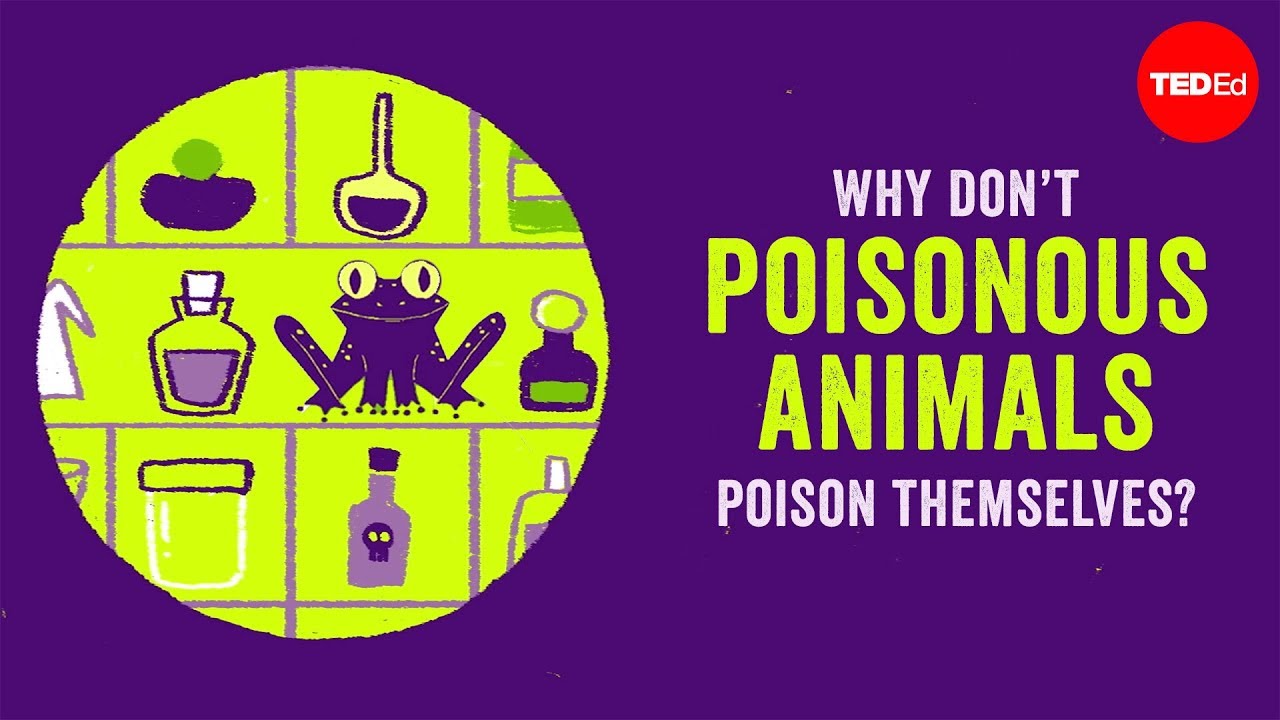 Why Don T Poisonous Animals Poison Themselves Rebecca D Tarvin Why Don T Poisonous Animals Poison Themselves Rebecca D Tarvin
