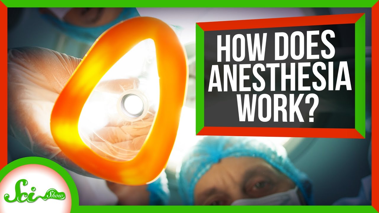 We Finally Know How Anesthesia Works Closed Captions by CCTubes